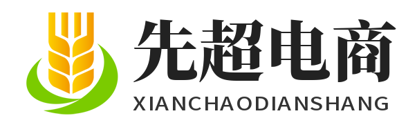 先超电商